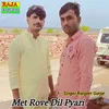 About Met Rove Dil Pyari Song